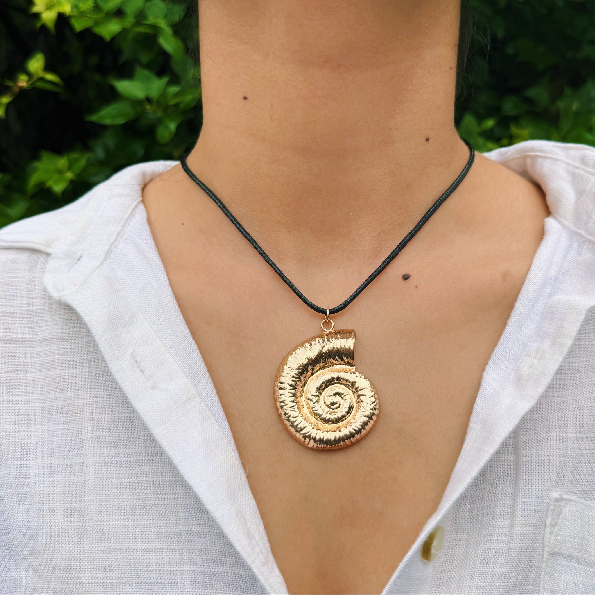 Shell Necklace
